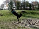 Maniek & Vector - one training video Maniek & Vector - one training video