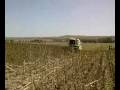 CLAAS MEDION 340 IS HARVESTING THE SUNFLOWER 2008...!!! COMBINE HARVESTER BİÇERDÖVER