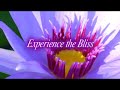 karma yoga - Villa Ananda