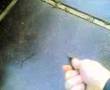 Butterfly-in-Action