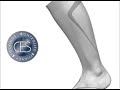 SIGVARIS Sports Performance - Controlled Efficacy Stockings