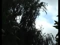 treurniet