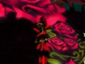 Psychonauts Cutscenes: Edgar Teglee