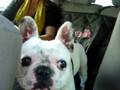 videos de Neo parlante.MPG