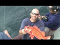 Fishing Alliance \"Rockfish Meltdown\" Fishing Alliance \"Rockfish Meltdown\"