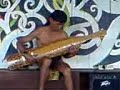 The Sape The Sape