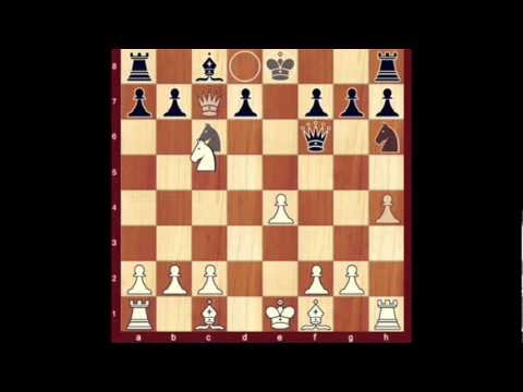 chess knight