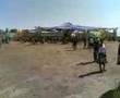 skazi freedom 2007