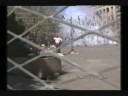 MASCLETA PLAZA AYUNTAMIENTOAÑO 1994 MASCLETA PLAZA AYUNTAMIENTOAÑO 1994
