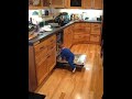 Aiden In Kitchen