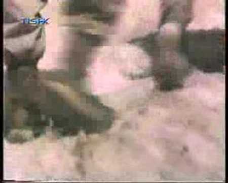 Ho kaki Peshmerge