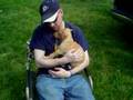 title="Puppies"