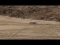 HPI E-Firestorm 10T brushless