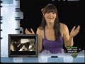 Video On Trial - Pit Bull - Hotel Room Service