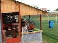 Navijanje u jagodini - PAITBALL