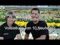 10 Neuheiten aus dem Bereich Beet- und Balkonpflanzen an der LVG Heidelberg