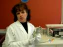Portrait de Science H�l�ne Duchesne