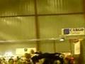 Åpningsshow på Scandinavian Winner Cat Show