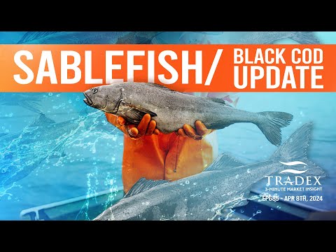 3MMI - Sablefish (Black Cod) Update: TAC’s, Slower Start Lower Prices, Exports to Japan