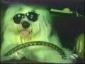 funny-accidents-at-home.html