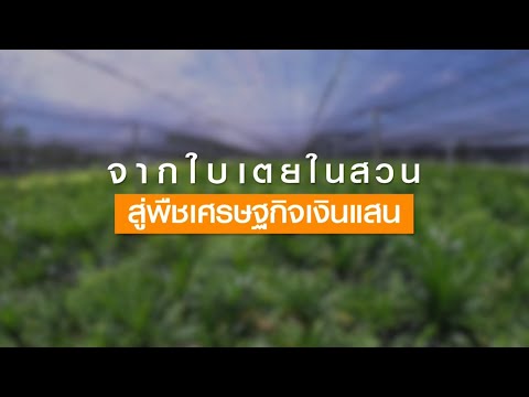 รายการเกษตรสาร ประจำวันที่ 24 ตุลาคม 2563