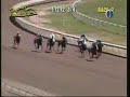 La Roux 2007 Derby Day Win