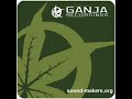 DJ Hazard - Wonkey Donkey DJ Hazard - Wonkey Donkey