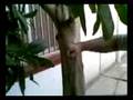 karate master hand strike 1