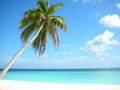 Discount holidays, packages, last-minute deals, cheap flight