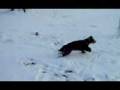 videos de snv33723.3gp