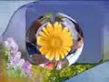 moksha