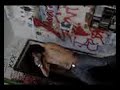 cear-crun-kpart-2.html