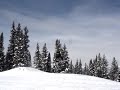 snowboard en catalist snowboard en catalist