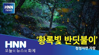 황록빛 반딧불이