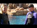 California travel expert Veronica Hill of www.CaliforniaTravelExpert.com learns the basics of becoming a dolphin trainer in this episode of 