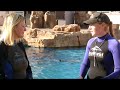 Dolphin Trainer