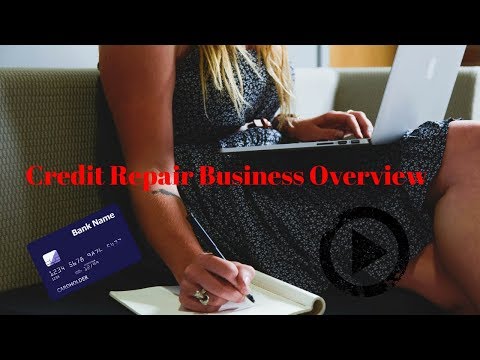 Credit Repair Business Overview