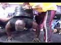 PUSH UPS WITH 360LBS(8 45lb PLATES)