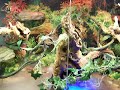 EXO-TERRA TERRARIUM WATER DRAGON AQUATIC TURTLES EXO-TERRA TERRARIUM WATER DRAGON AQUATIC TURTLES