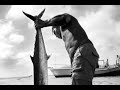 All Creatures Great & Small (video 1)