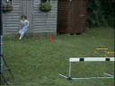 10 Points - A Hurdler in Training for 2020.