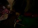 gypsy and pressies from sissies