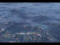 DORADO MIX