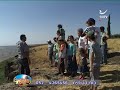 וידאו