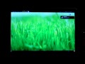 MacBook Pro Triple Boot - Snow Leopard, Windows 7, Ubuntu
