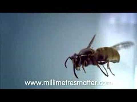 milimeter
