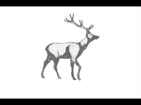 Video Title Video Alt