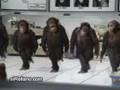 Dabkeh Monkey Dabke دبكة مضحكة كوميدي ضاحك