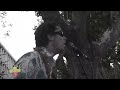 Jungle Fever-She Said
