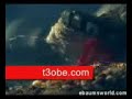 f553 حيوان بحري يصطاد فريستة بالطلقات f553